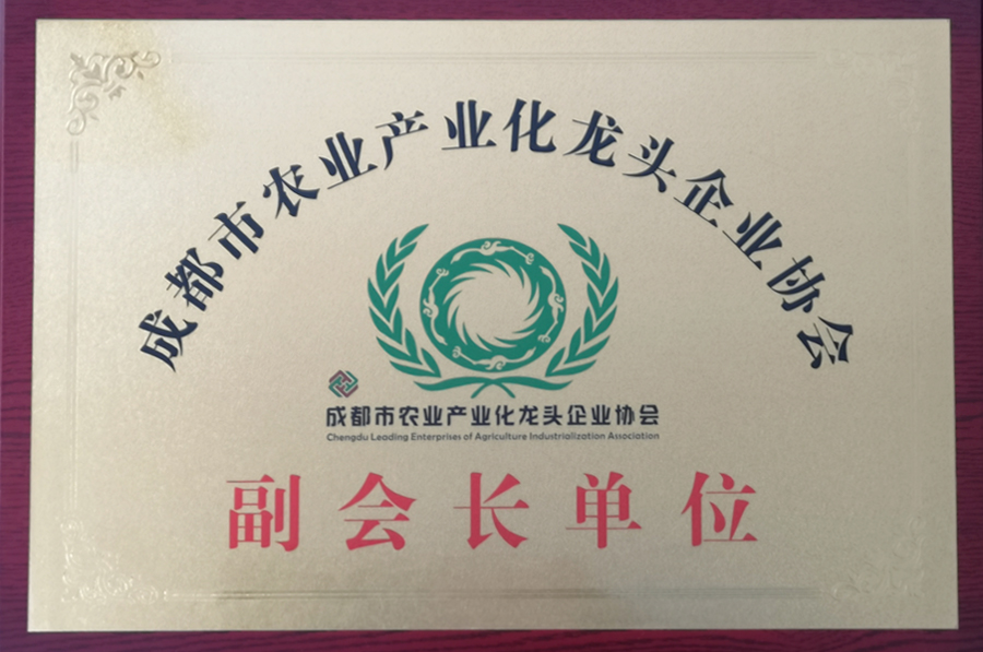 副会长单位